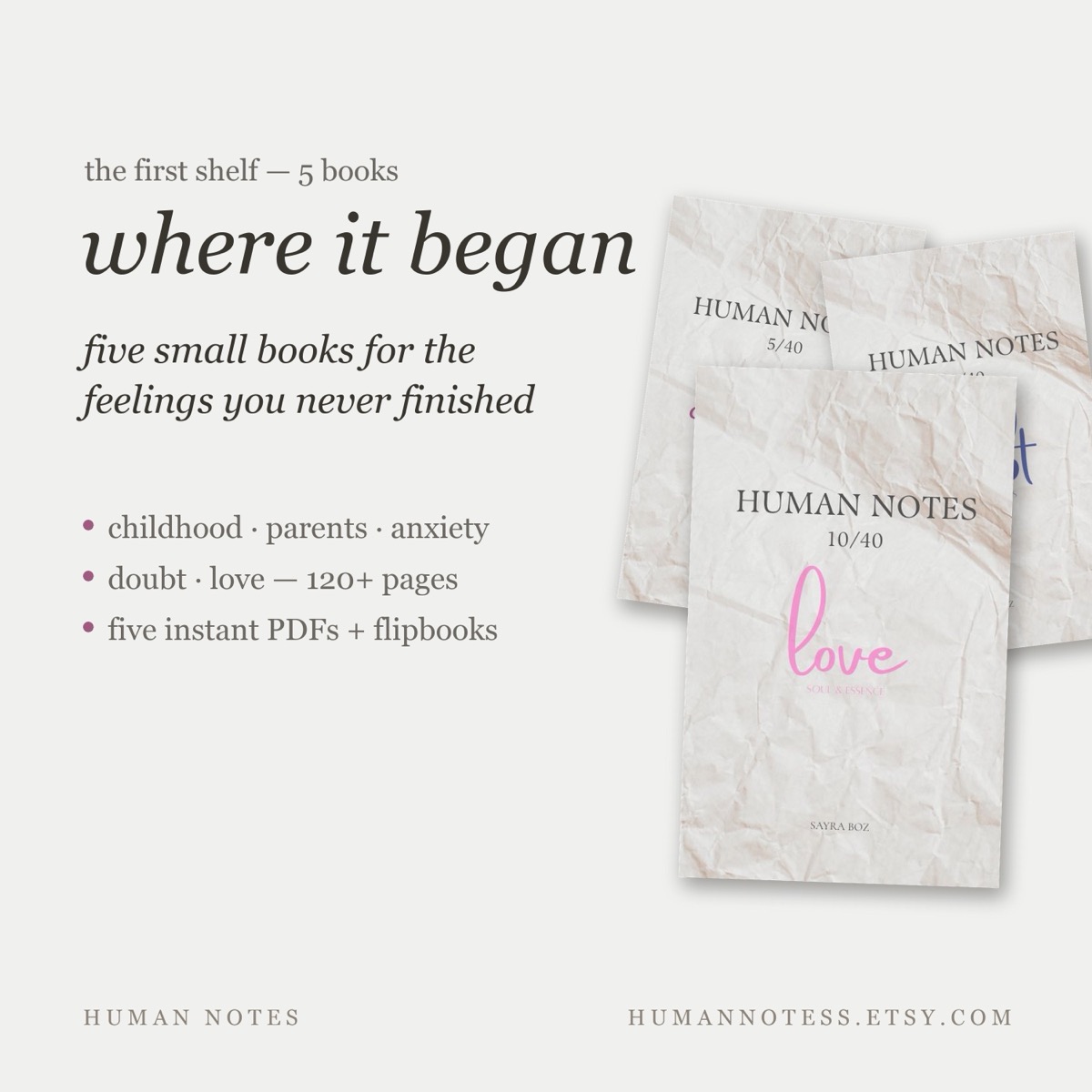 WHERE IT BEGAN — five book set